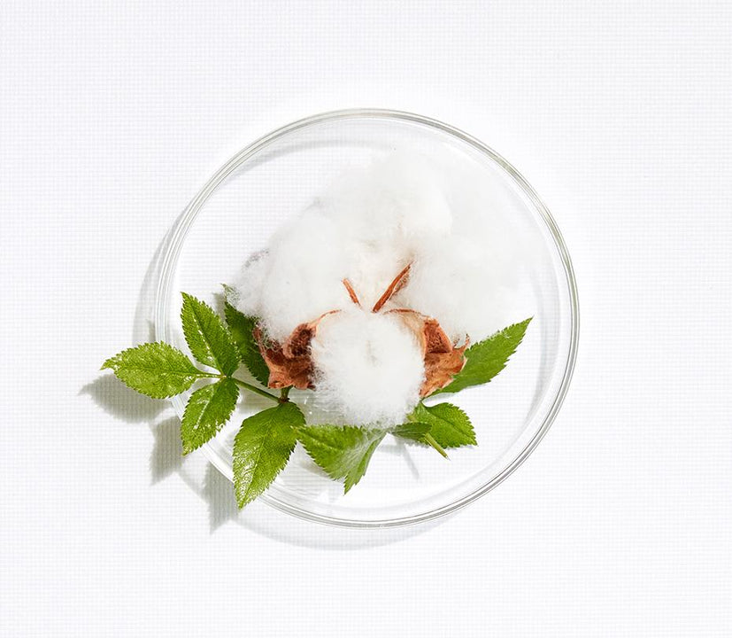 HUILE VÉGÉTALE DE COTON